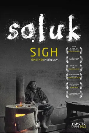 Soluk